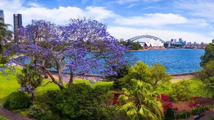 Royal Botanic Garden