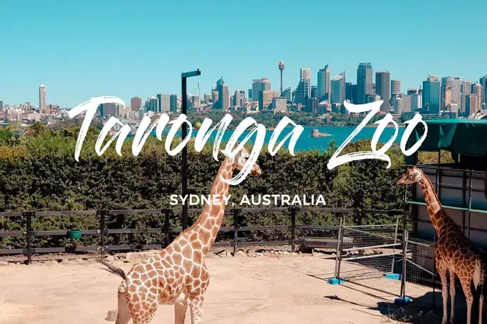 Taronga Zoo